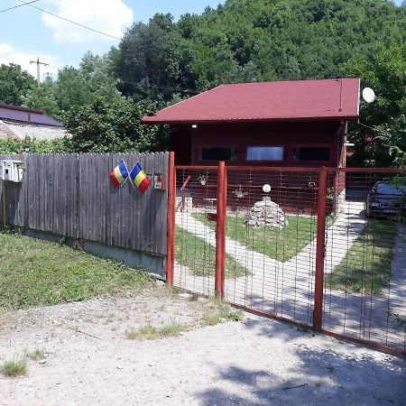 Canadian House Sărata-Monteoru Exteriör bild