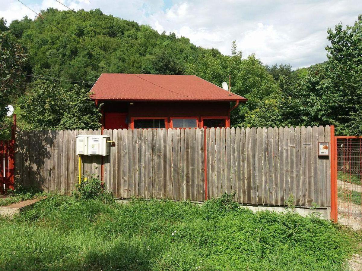Canadian House Sărata-Monteoru Exteriör bild