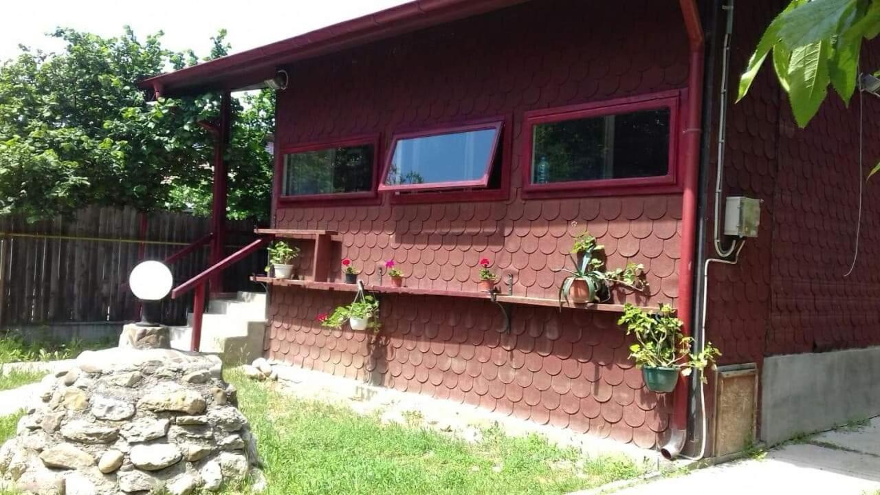 Canadian House Sărata-Monteoru Exteriör bild