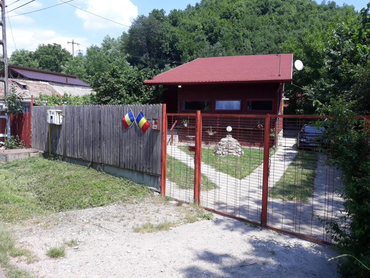 Canadian House Sărata-Monteoru Exteriör bild